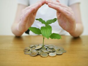 Low-Risk High-Interest